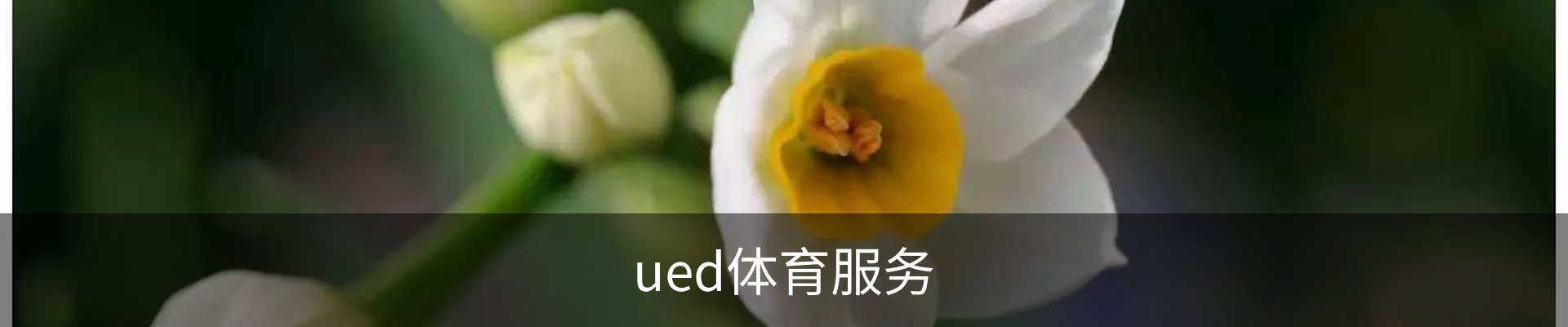 ued体育服务